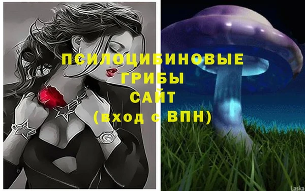 прущий лед Алексин