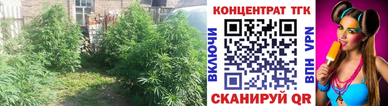 ТГК Wax  мега ссылки  Ставрополь  дарнет шоп 